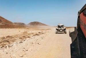 Fuerteventura: Dune Buggy Tour in Northern Fuerteventura