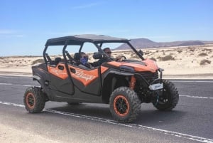 Fuerteventura: Dune Buggy Tour in Northern Fuerteventura