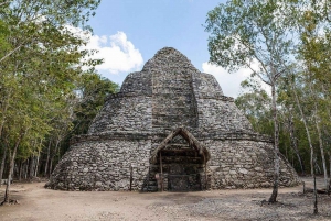 Día Completo en Tulum+Coba+Comunidad_Mayan+Cenote y 5ª Avenida