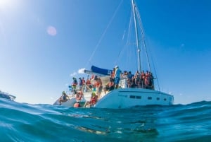 Día completo de navegación en lujoso catamarán a Isla Mujeres