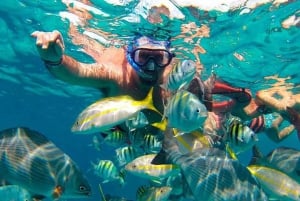 Día completo de navegación en lujoso catamarán a Isla Mujeres