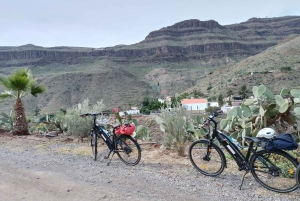 Gran Canaria: 1-7 Day E-Bike Rental 80 km battery life