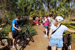 Gran Canaria: 1-7 Day E-Bike Rental 80 km battery life