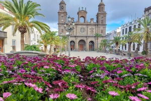 Gran Canaria 7 Puntos Destacados tour en grupo reducido con picnic de tapas