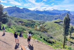 Gran Canaria 7 Puntos Destacados tour en grupo reducido con picnic de tapas