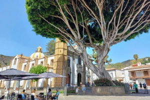 Gran Canaria 7 Puntos Destacados tour en grupo reducido con picnic de tapas