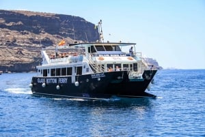 Gran Canaria: crucero en catamarán para avistas delfines y esnórquel