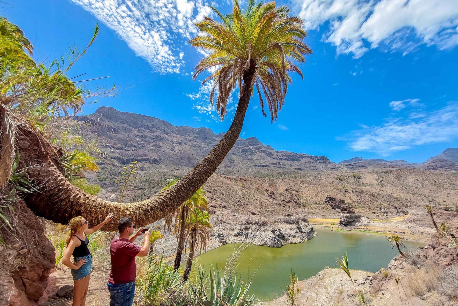 Gran Canaria Discovery Adventure Small Group Tour and Picnic