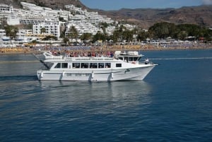 Gran Canaria: crucero de avistamiento de delfines y ballenas