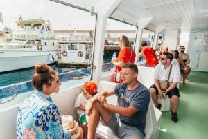 Gran Canaria: Dolphin and Whale Watching Cruise