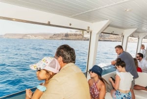 Gran Canaria: Dolphin and Whale Watching Cruise