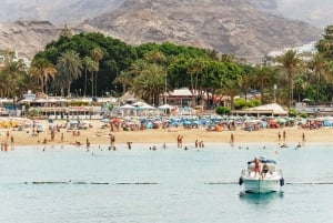 Gran Canaria: crucero de avistamiento de delfines y ballenas