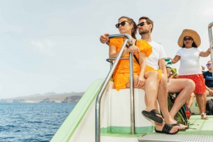 Gran Canaria: Dolphin and Whale Watching Cruise