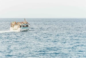 Gran Canaria: crucero de avistamiento de delfines y ballenas