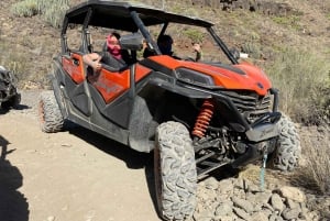 GRAN CANARIA: FAMILY MONSTER BUGGY *4 SEATS -LONG TOUR 2.5HR