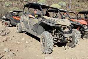 GRAN CANARIA: FAMILY MONSTER BUGGY *4 SEATS -LONG TOUR 2.5HR