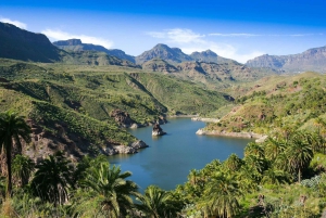 Gran Canaria: Full-Day VIP Tour by Bus