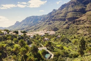 Gran Canaria: Full-Day VIP Tour by Bus