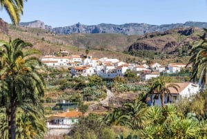 Gran Canaria: Full-Day VIP Tour by Bus