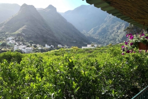 Gran Canaria: Excursión a la Gran Isla