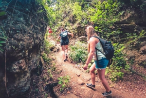 Gran Canaria: Guided Day Tour to Rainforest with Tasting