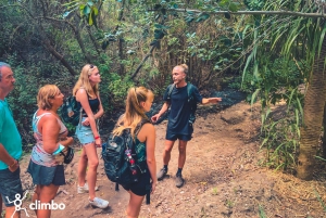 Gran Canaria: Guided Day Tour to Rainforest with Tasting