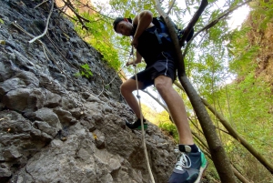 Gran Canaria: Guided Day Tour to Rainforest with Tasting