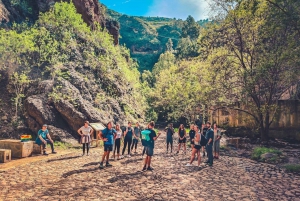 Gran Canaria: Guided Day Tour to Rainforest with Tasting