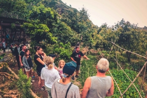 Gran Canaria: Guided Day Tour to Rainforest with Tasting