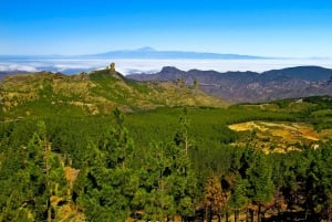 Lo mejor de Gran Canaria Tour de día completo en autobús