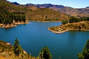 Lo mejor de Gran Canaria Tour de día completo en autobús