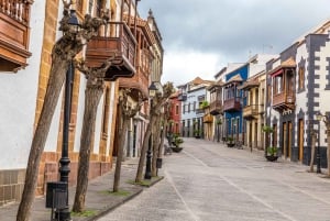 Gran Canaria Highlights Full-Day Tour by Bus