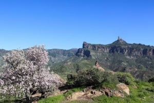 Lo mejor de Gran Canaria Tour de día completo en autobús