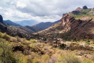 Lo mejor de Gran Canaria Tour de día completo en autobús