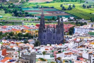 Lo mejor de Gran Canaria Tour de día completo en autobús