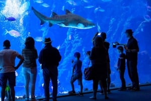 Gran Canaria: ticket sin colas para el acuario Poema del Mar