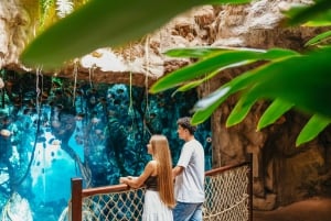 Gran Canaria: ticket sin colas para el acuario Poema del Mar