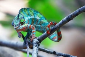 Gran Canaria: ticket sin colas para el acuario Poema del Mar