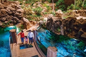 Gran Canaria: ticket sin colas para el acuario Poema del Mar