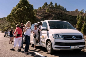 Gran Canaria: Rural Villages Guided Sightseeing Tour