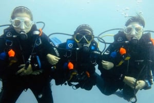 Gran Canaria: Prueba el buceo para principiantes