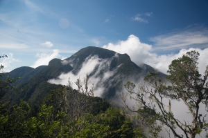 Parque Nacional de la Gran Sierra Maestra
