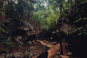 Green Grotto Caves Tour and Transportation