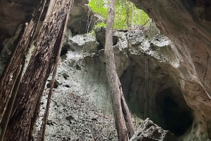 Green Grotto Caves Tour and Transportation