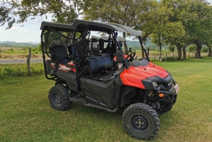 Guanacaste: 2-Hour UTV Adventure Tour