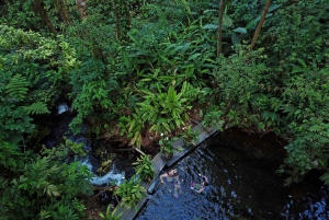 Guanacaste: Sensoria Rainforest Thermal Pools Ticket de entrada