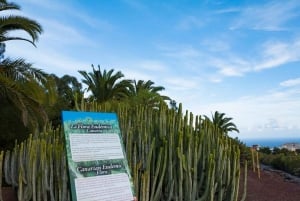 Guïmar: Ticket de entrada al Parque Etnográfico de las Pirámides de Güímar