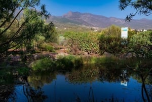 Guïmar: Ticket de entrada al Parque Etnográfico de las Pirámides de Güímar