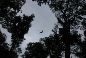 Half-Day Iguazú Forest Adventure