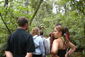Medio día de aventura en el parque nacional Iguazú
